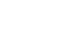 Silicon Bay Partners Logo